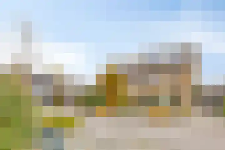 Boekweit-oord 2 Houten thumbnail 52