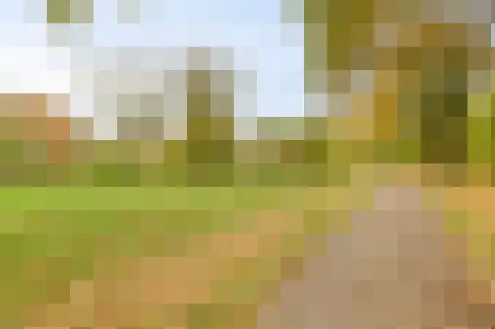 Boekweit-oord 2 Houten thumbnail 54