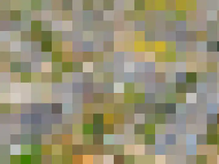 Boekweit-oord 2 Houten thumbnail 59