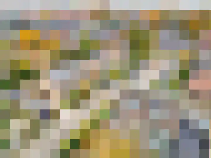Boekweit-oord 2 Houten thumbnail 60