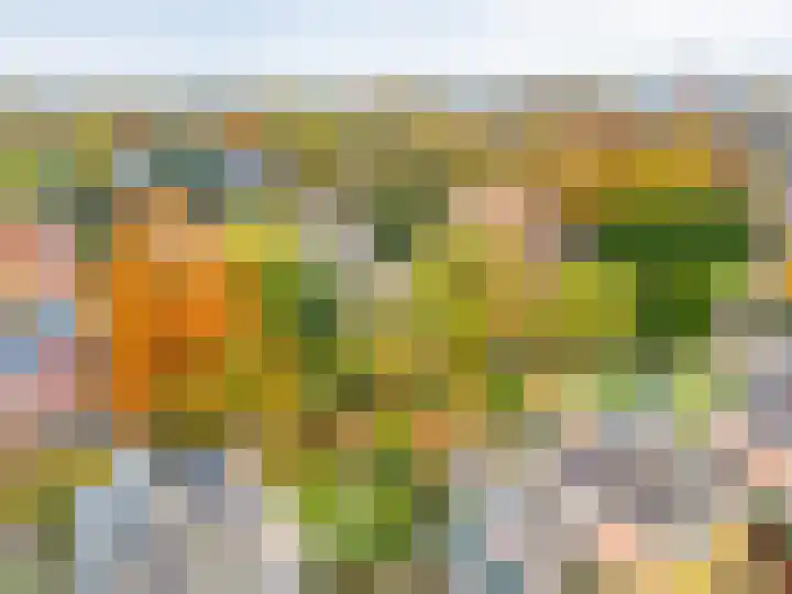 Boekweit-oord 2 Houten thumbnail 62