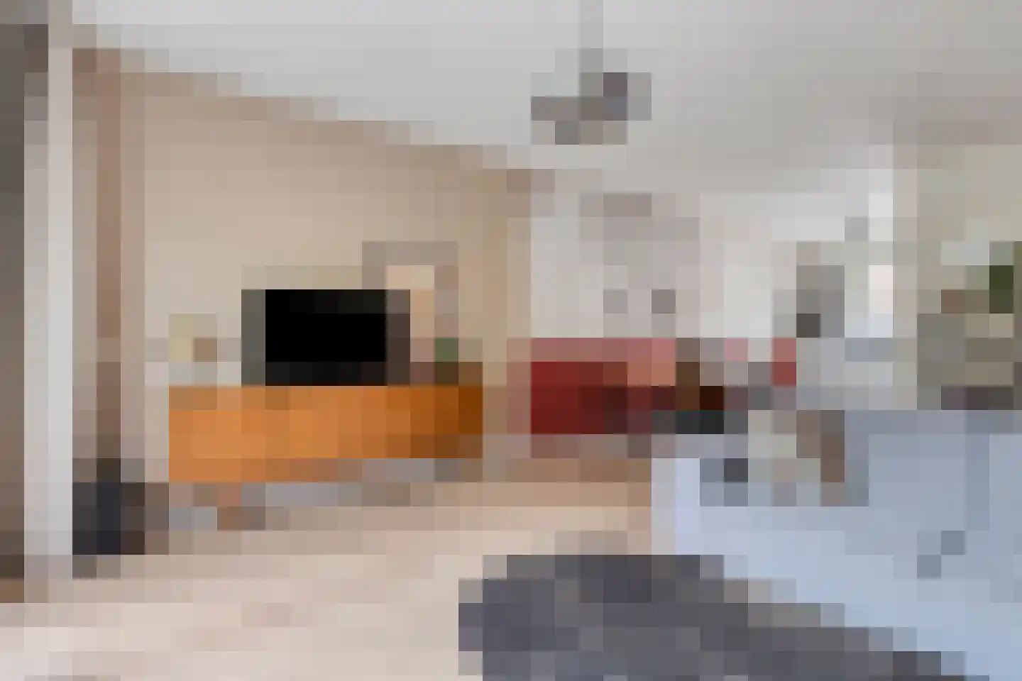 Boekweitakker 10 Pijnacker thumbnail 12