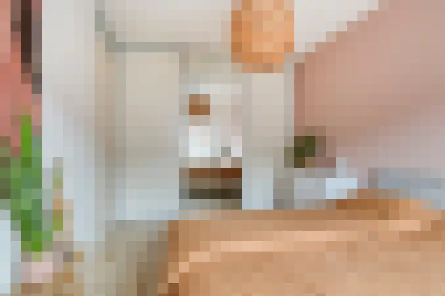 Boekweitakker 10 Pijnacker thumbnail 19