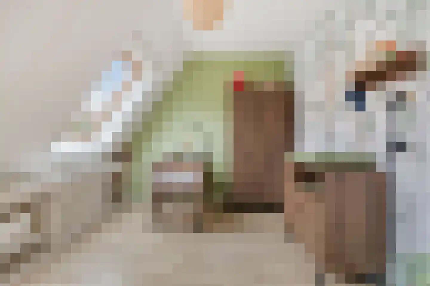Boekweitakker 10 Pijnacker thumbnail 22