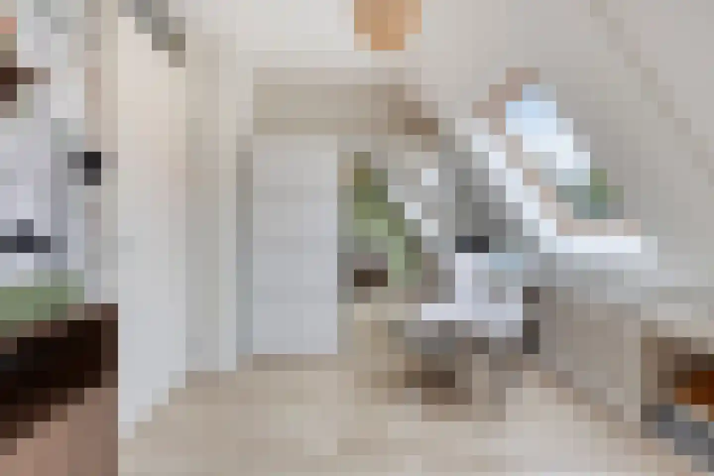 Boekweitakker 10 Pijnacker thumbnail 23