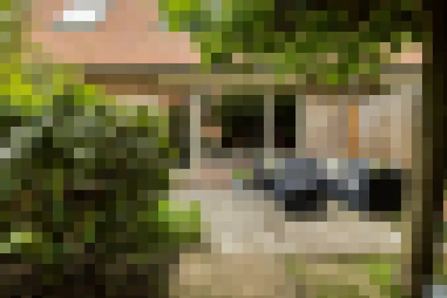 Boekweitakker 10 Pijnacker thumbnail 27