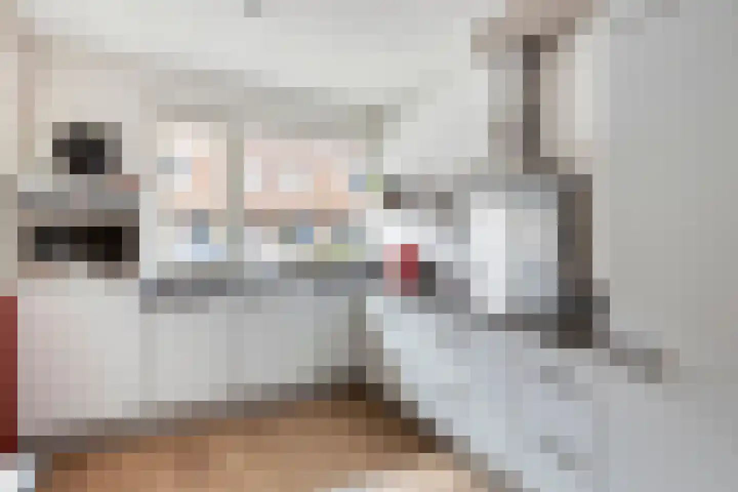 Boekweitakker 10 Pijnacker thumbnail 4