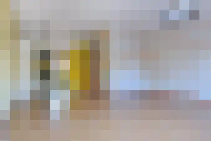 Boekweitakker 15 Zoetermeer thumbnail 10