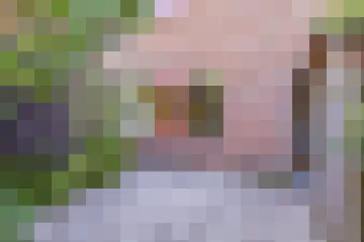 Boekweitakker 15 Zoetermeer thumbnail 30