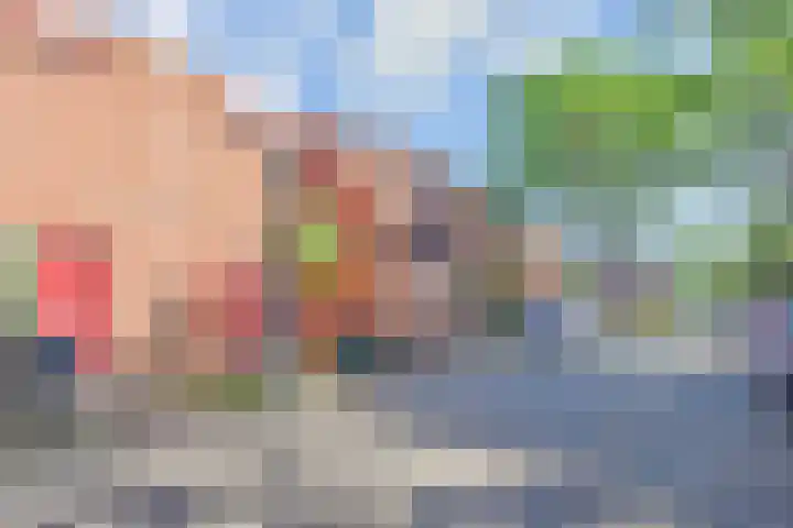 Boekweitakker 15 Zoetermeer thumbnail 32