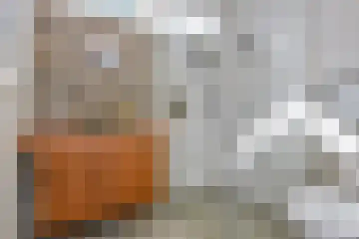 Boekweitakker 15 Zoetermeer thumbnail 4