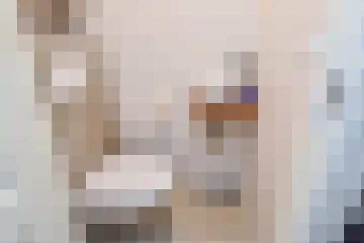 Boekweitakker 15 Zoetermeer thumbnail 7