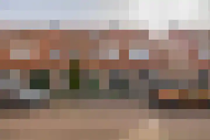 Boekweitakker 19 in Pijnacker