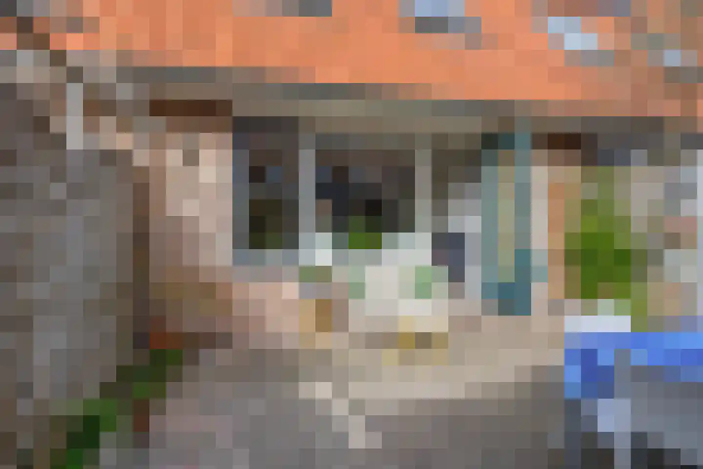 Boekweitakker 19 Pijnacker thumbnail 12