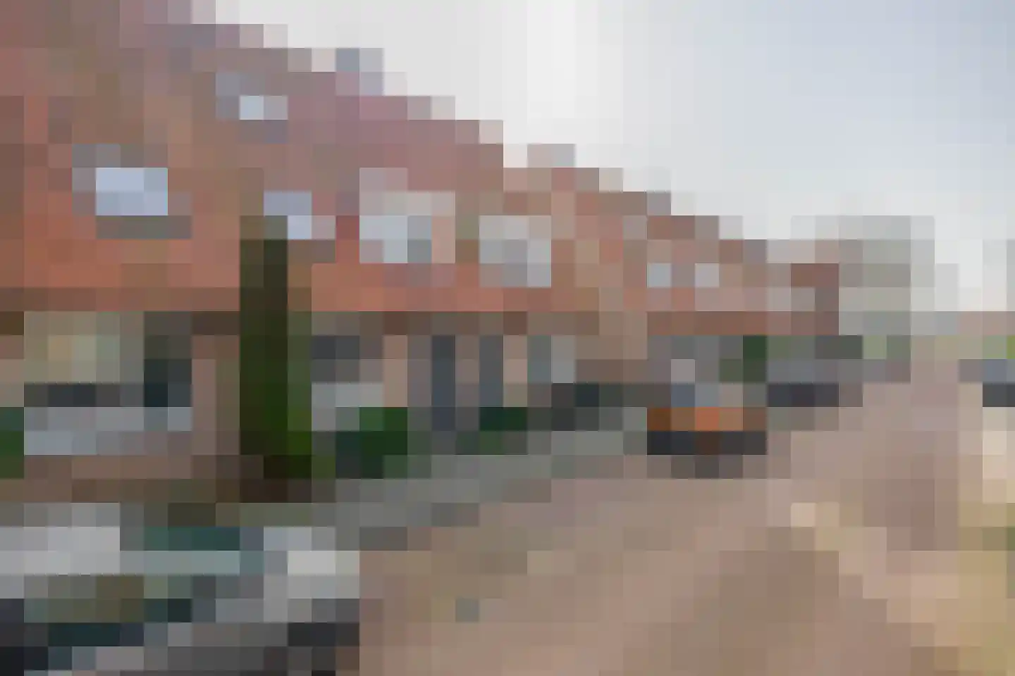 Boekweitakker 19 Pijnacker foto 2