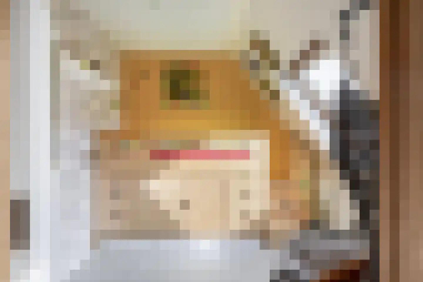 Boekweitakker 19 Pijnacker thumbnail 23