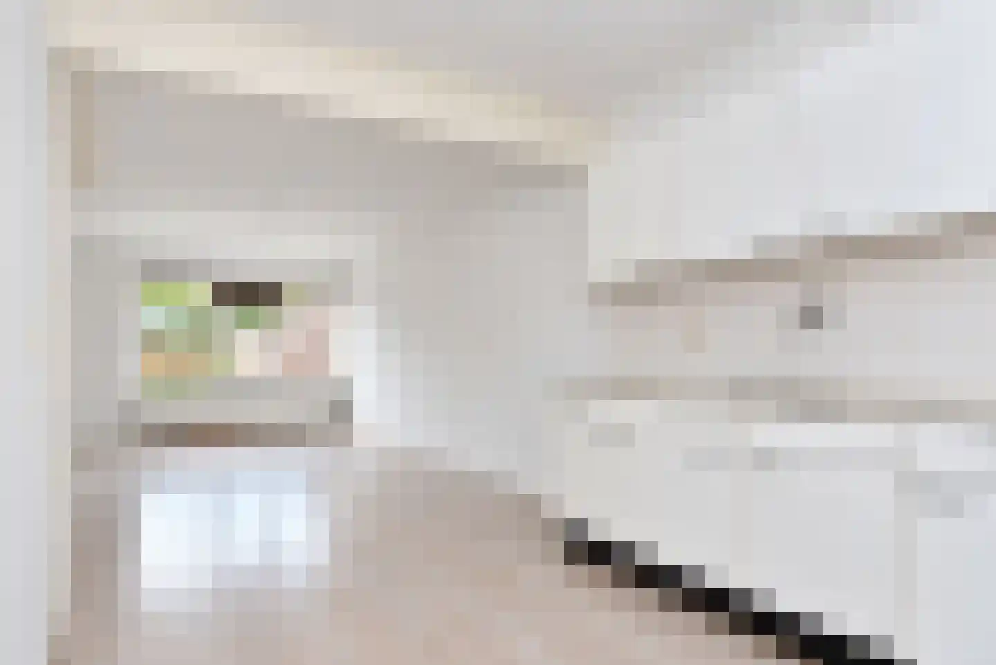 Boekweitakker 19 Zoetermeer thumbnail 14