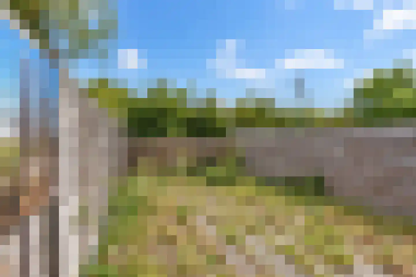 Boekweitakker 19 Zoetermeer thumbnail 16