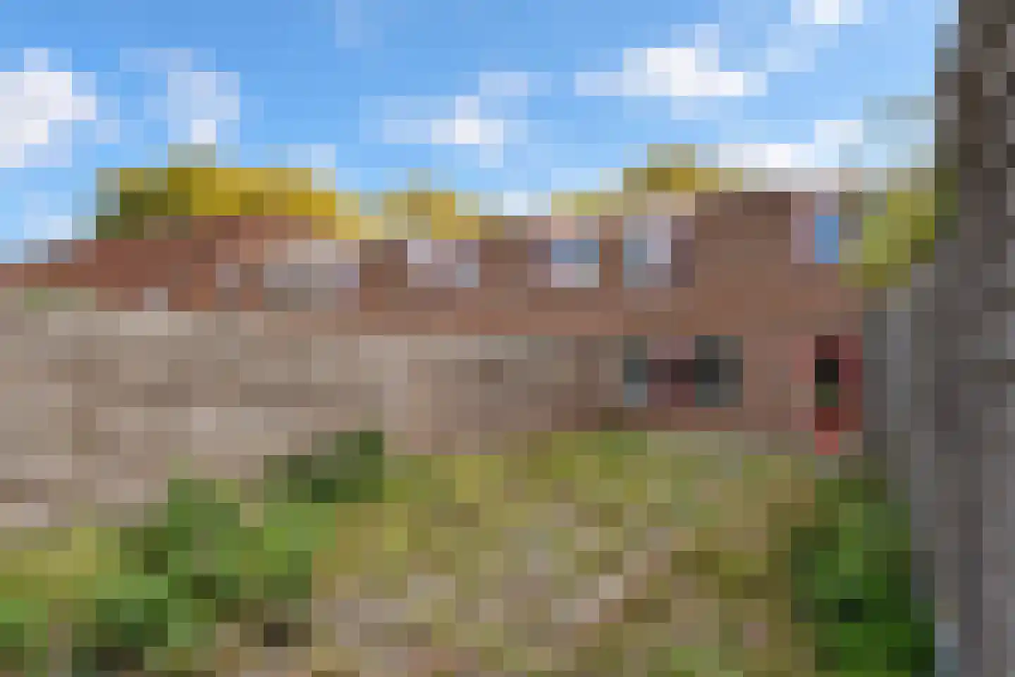 Boekweitakker 19 Zoetermeer thumbnail 17