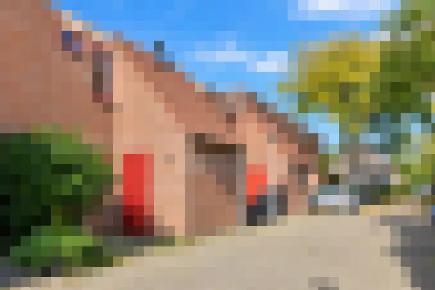 Boekweitakker 19 Zoetermeer thumbnail 27