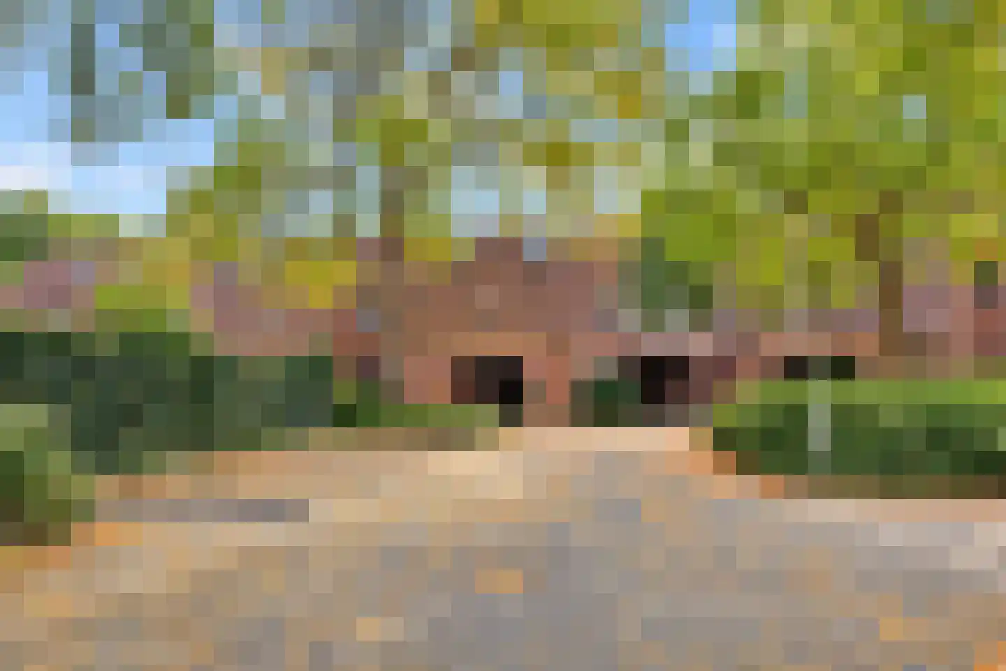 Boekweitakker 19 Zoetermeer thumbnail 28