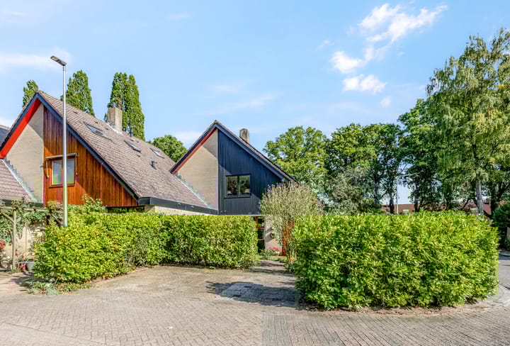 Boekweitakker 2 en Doorn foto