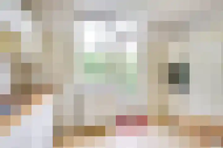 Boekweitakker 2 Doorn thumbnail 18