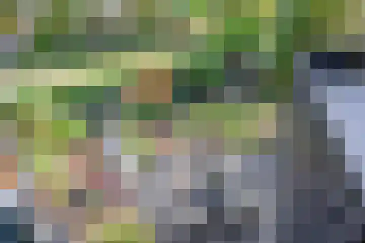 Boekweitakker 2 Doorn thumbnail 28
