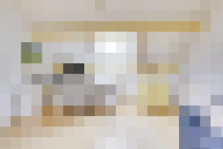 Boekweitakker 2 Doorn thumbnail 38