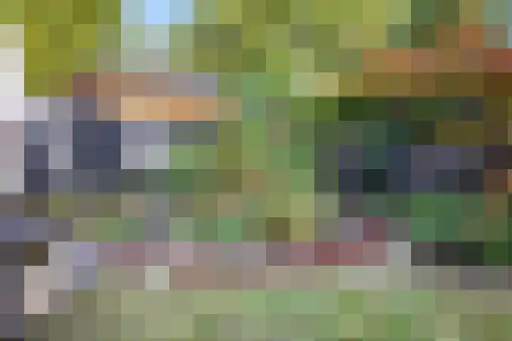 Boekweitakker 2 Doorn thumbnail 43