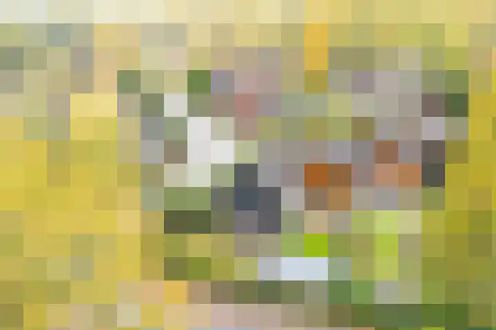 Boekweitakker 2 Doorn thumbnail 49