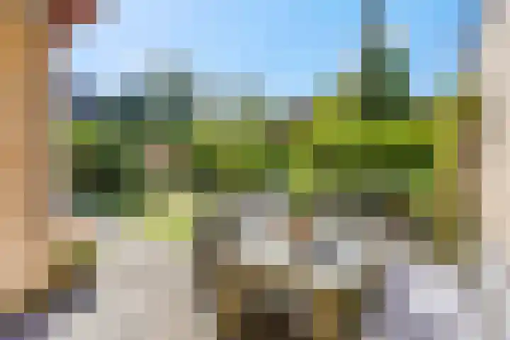 Boekweitakker 2 Doorn thumbnail 6