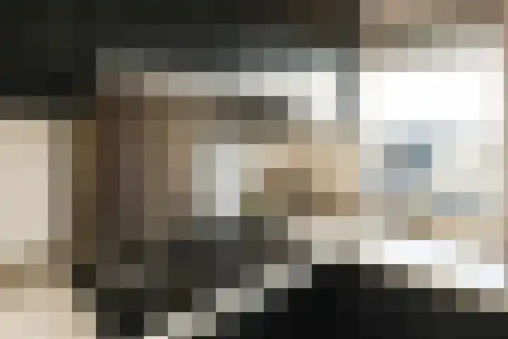 Boekweitakker 24 Barneveld thumbnail 12