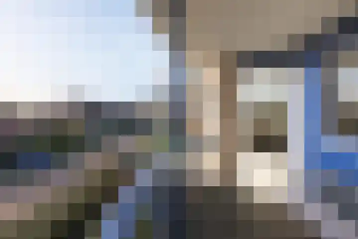 Boekweitakker 24 Barneveld thumbnail 15