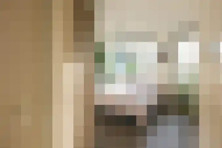 Boekweitakker 24 Barneveld thumbnail 17