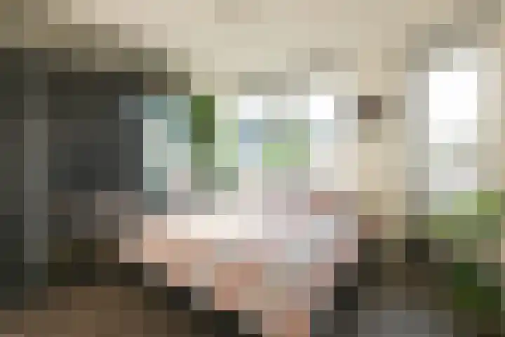 Boekweitakker 24 Barneveld thumbnail 18