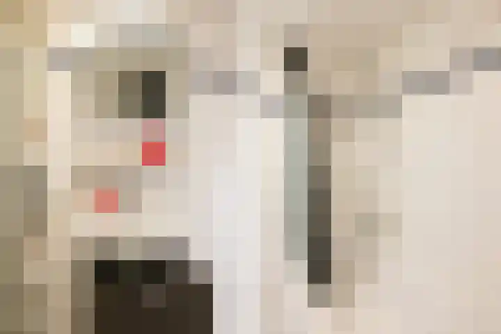 Boekweitakker 24 Barneveld thumbnail 22