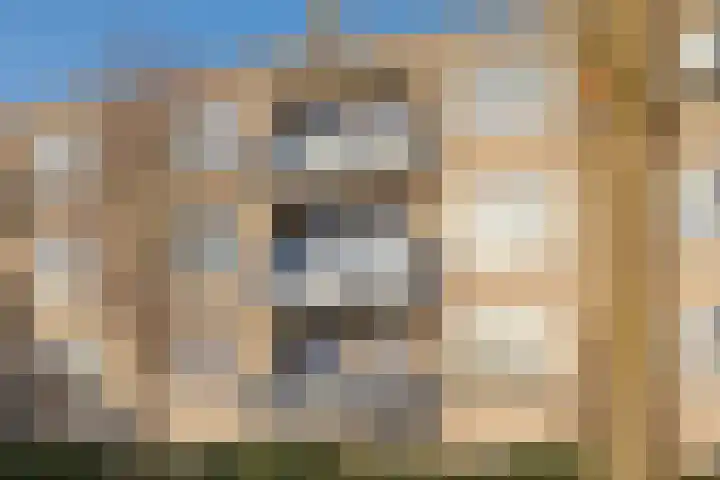 Boekweitakker 24 Barneveld thumbnail 26