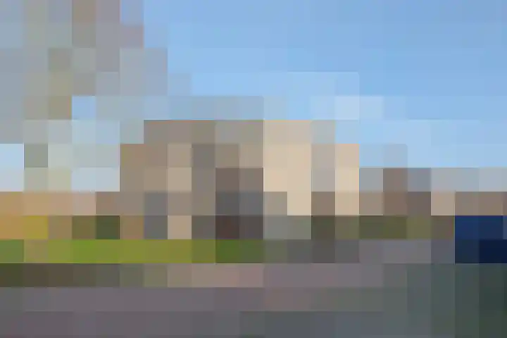 Boekweitakker 24 Barneveld thumbnail 27