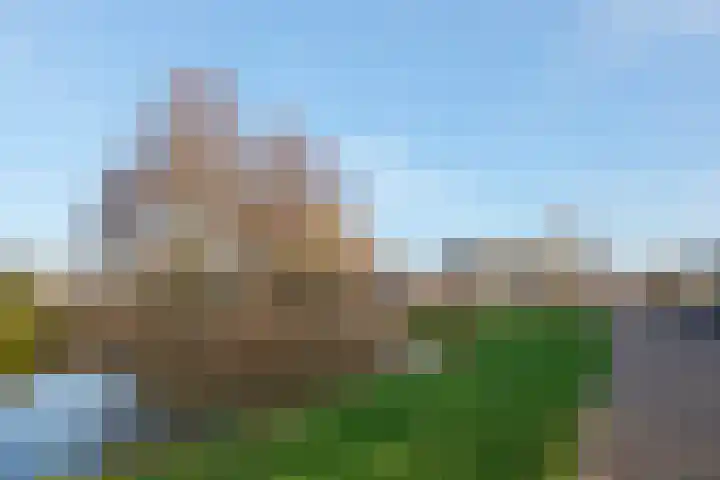 Boekweitakker 24 Barneveld thumbnail 28