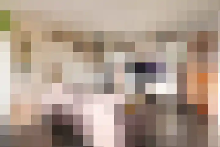 Boekweitakker 24 Barneveld thumbnail 5