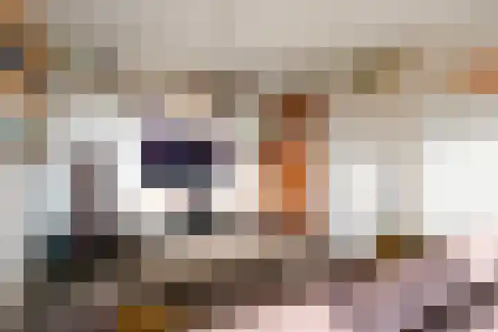 Boekweitakker 24 Barneveld thumbnail 6