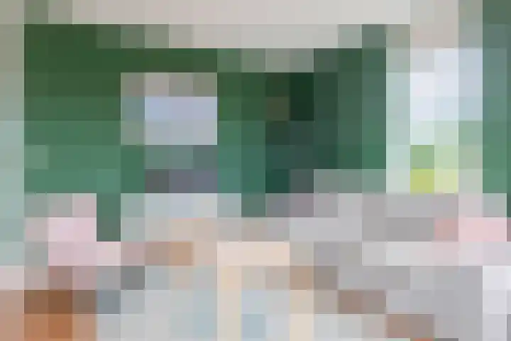 Boekweitakker 26 Barneveld thumbnail 10