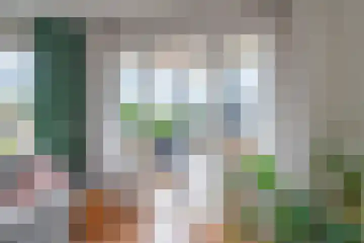 Boekweitakker 26 Barneveld thumbnail 11