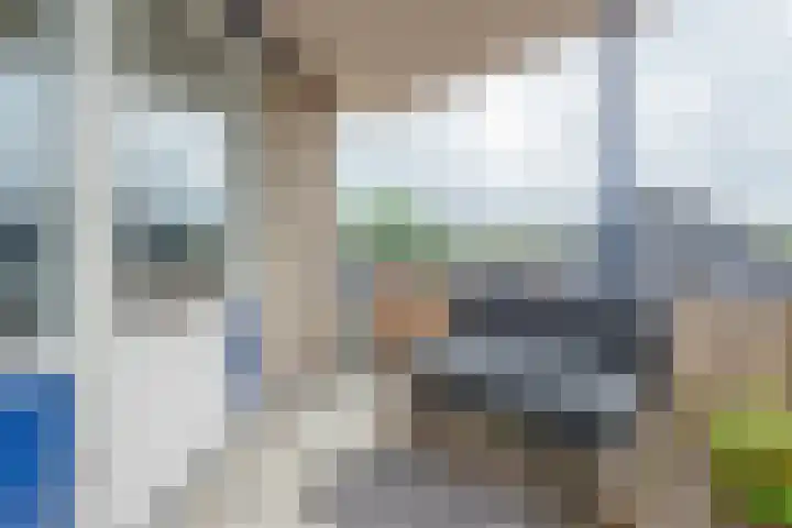 Boekweitakker 26 Barneveld thumbnail 12