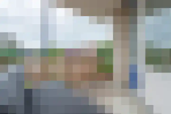 Boekweitakker 26 Barneveld thumbnail 13