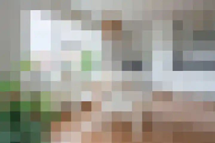 Boekweitakker 26 Barneveld thumbnail 15