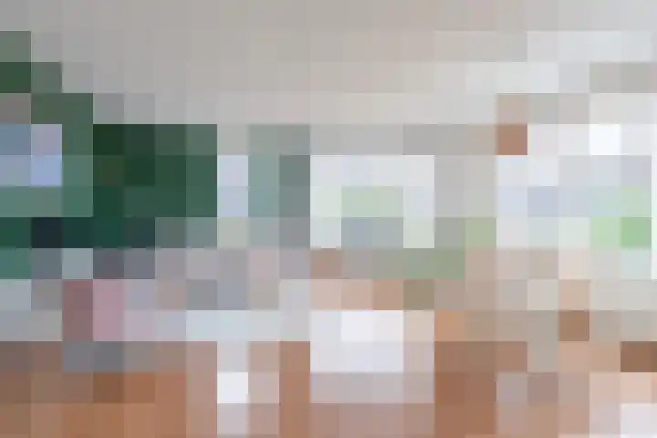 Boekweitakker 26 Barneveld thumbnail 22