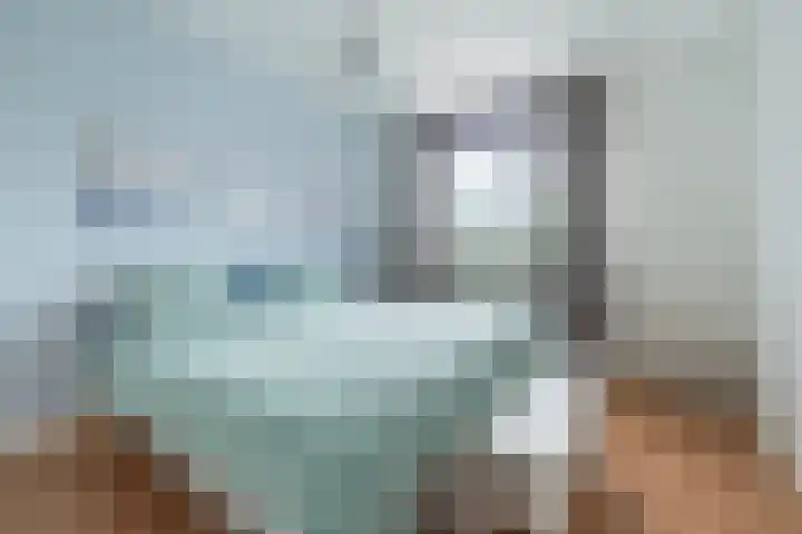 Boekweitakker 26 Barneveld thumbnail 24