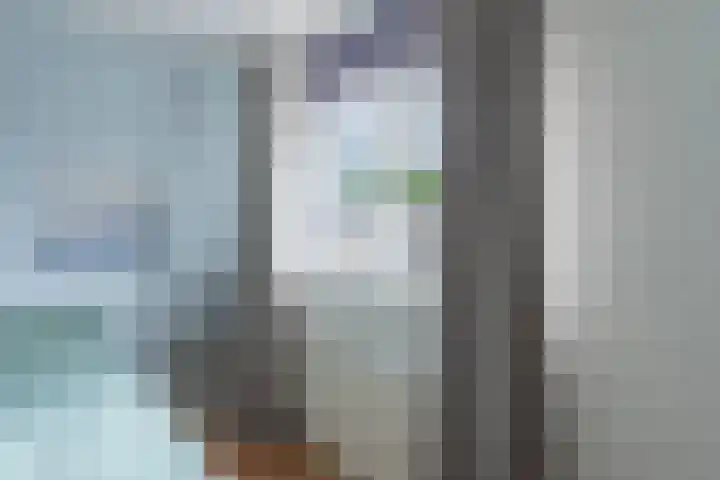 Boekweitakker 26 Barneveld thumbnail 25